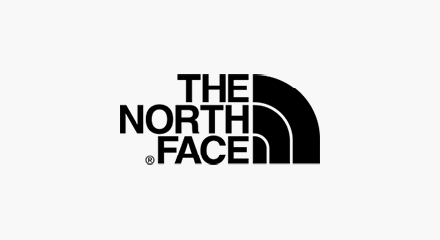 The North Face Brand Logo