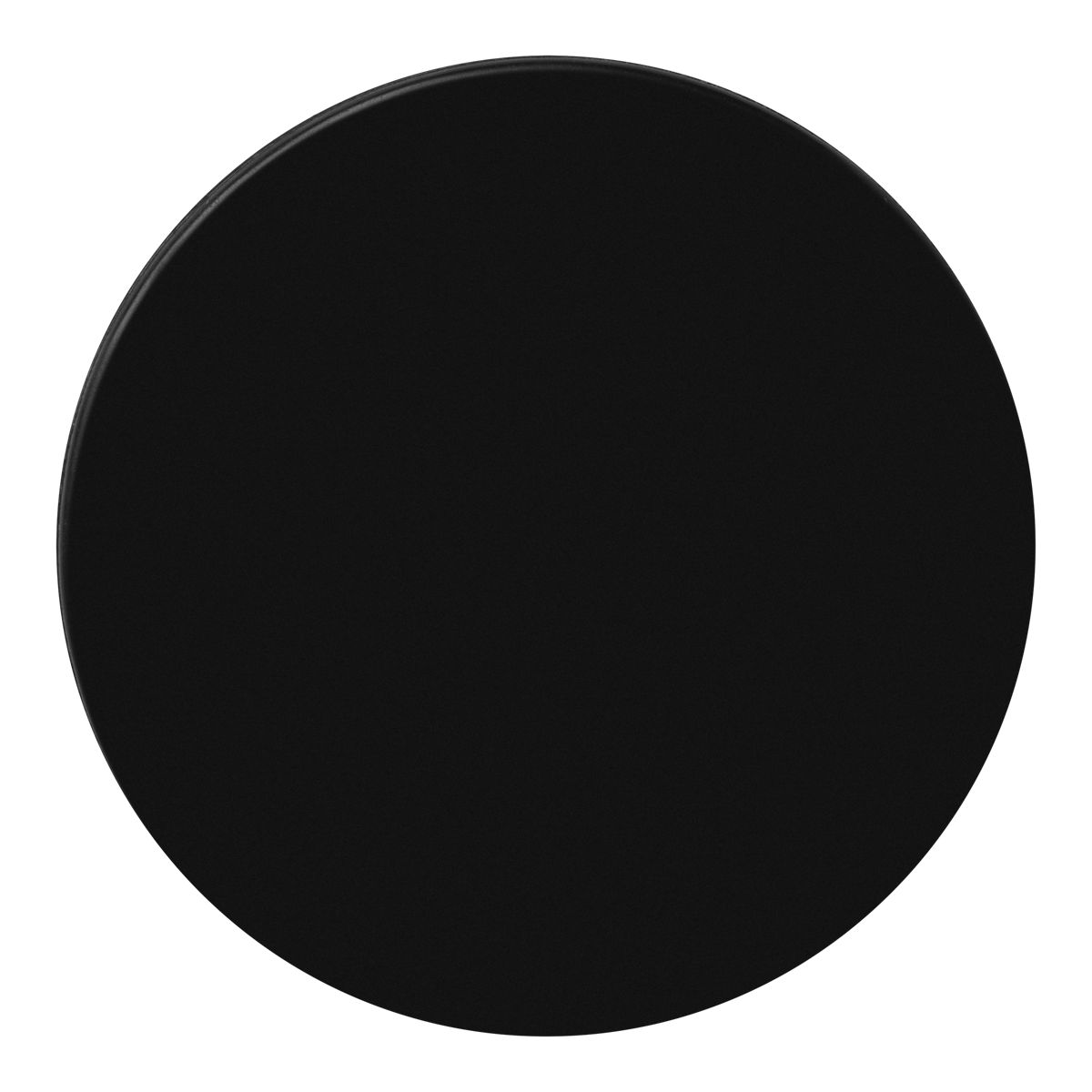 Sherwood 6 oz Hockey Puck - 12pk Overhead_Flat