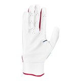 Nike Trout Edge 2.0 Yth Batting Gloves - Wt/Bl/Rd Front_Angled_Right