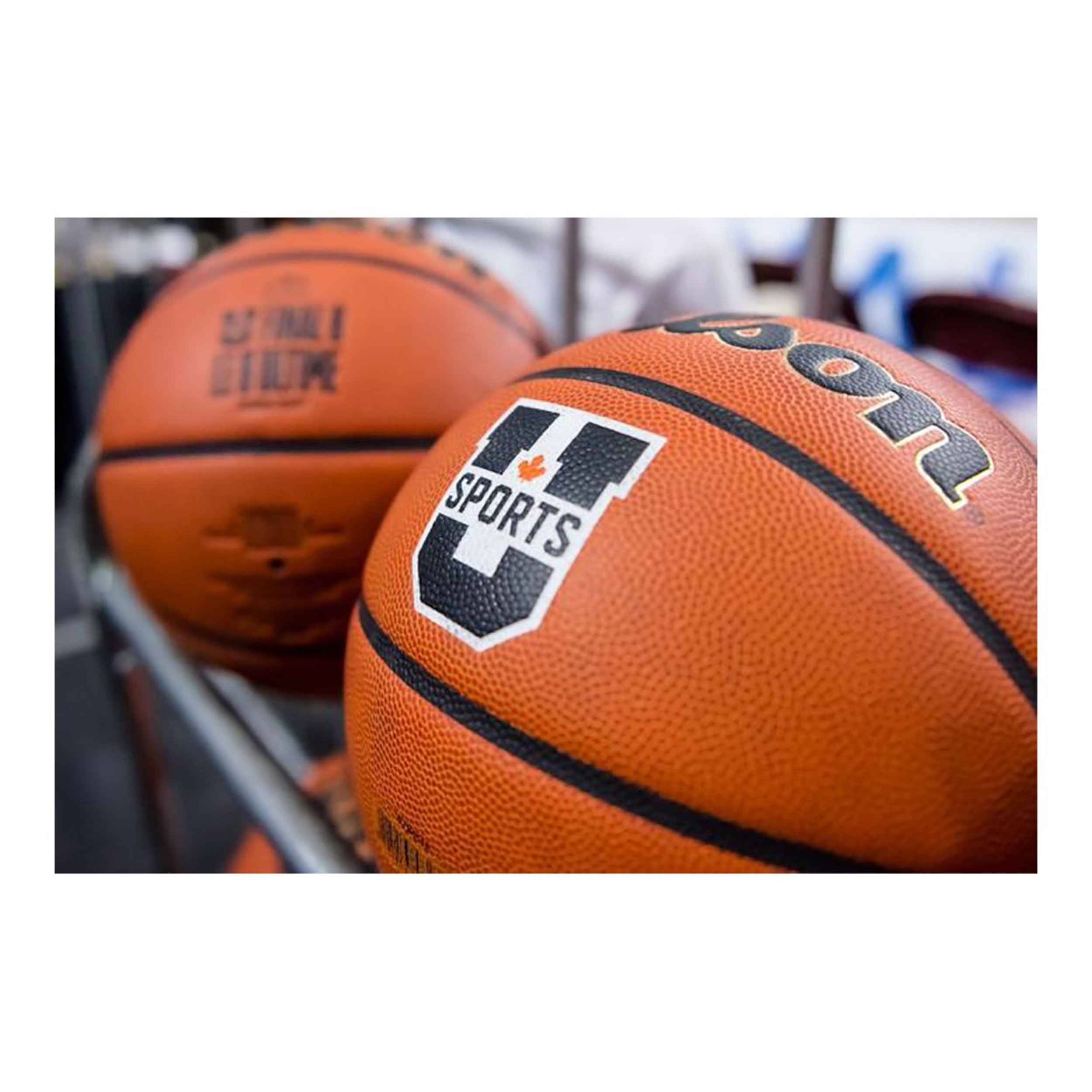 Wilson Evolution Usport Senior Basketball - Size 6 | SportChek