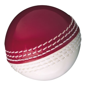 Gunn & Moore Skills Cricket Ball