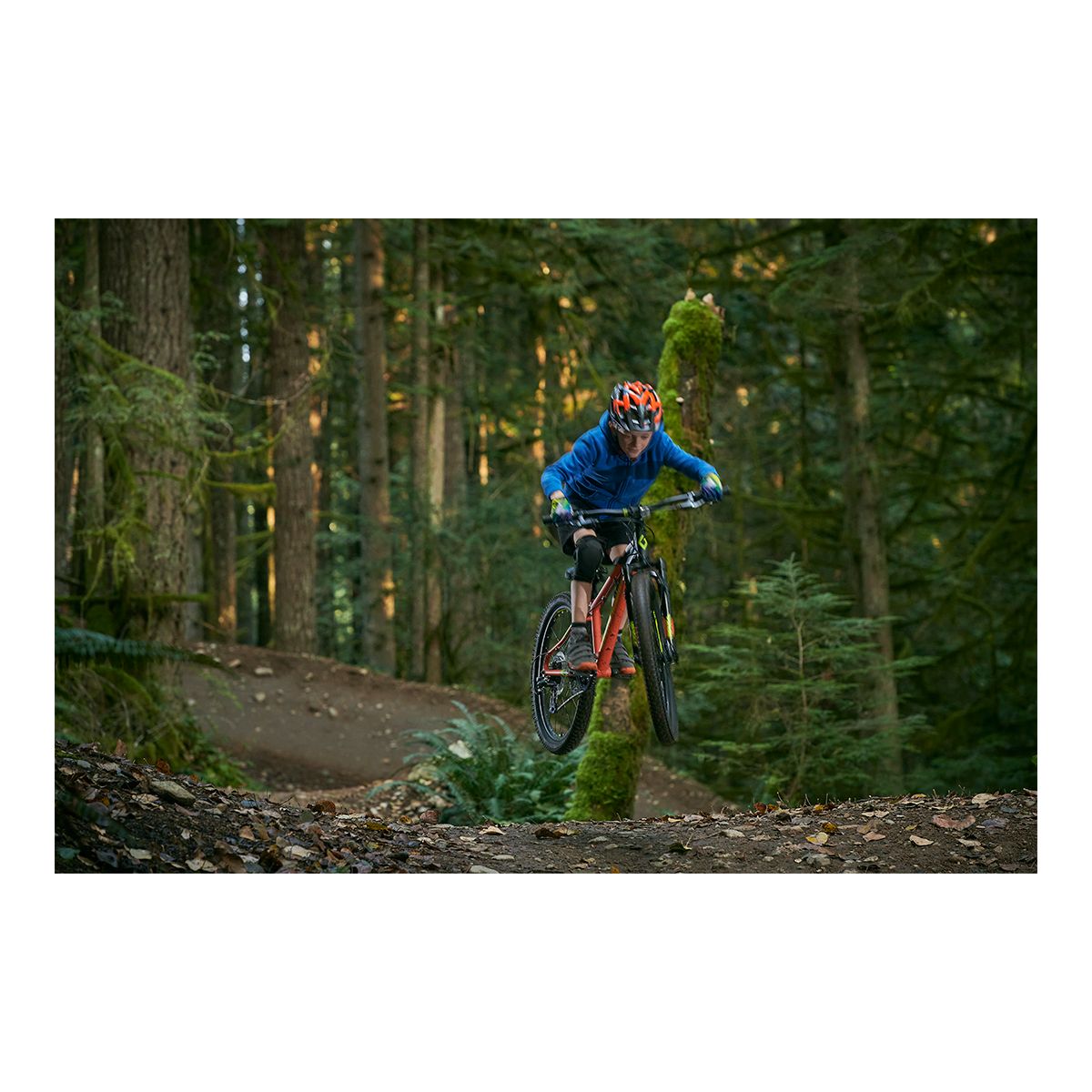 Diamondback Kids' Flowdown 24" Junior Mountain Bike, 7 Speed, Aluminum Frame, Mechanical Disc Brakes,