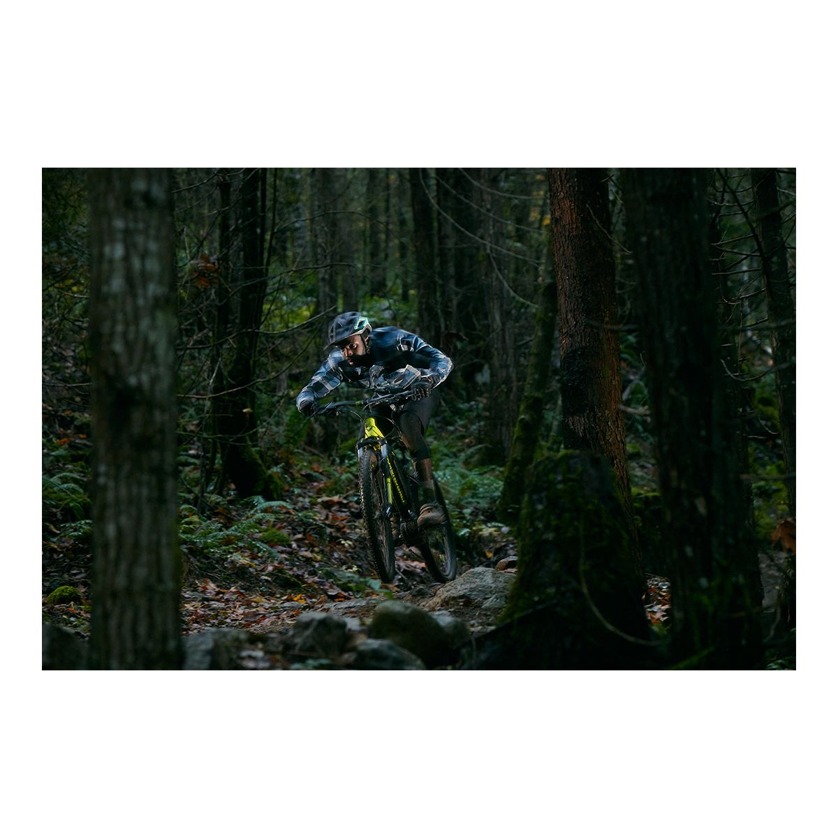 DIAMONDBACK POWERLINE (Q121) BLACK/YELLOW