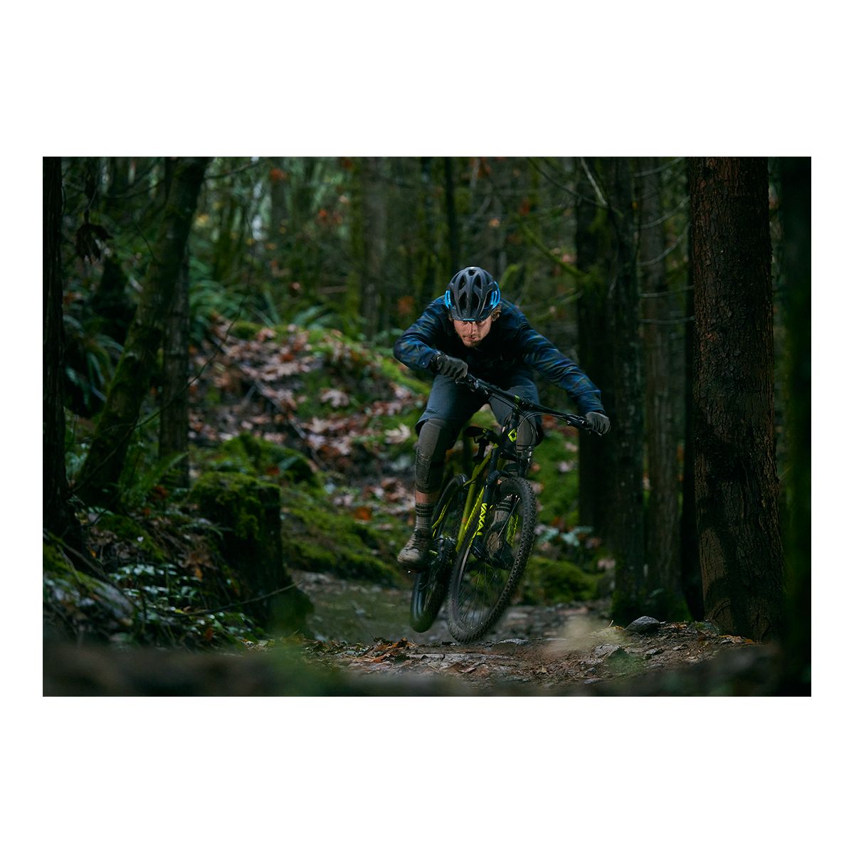 Expresso - Hardtail Mountain Bike (27.5) - Blue – DiamondBack