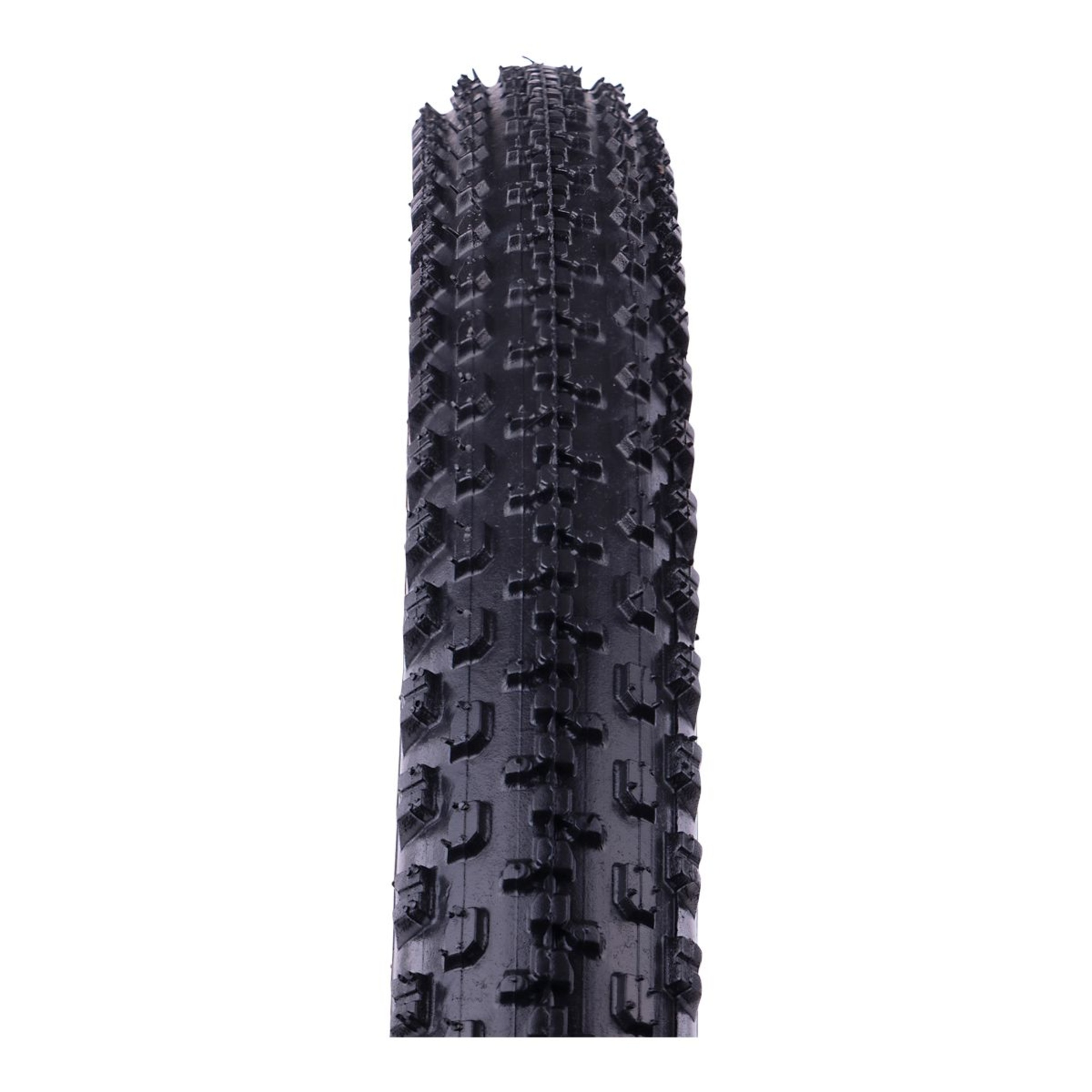 EVO Knotty 24X1.95 Tire SportChek
