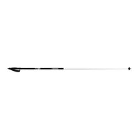 Rossignol Kids' FT-501 Nordic Ski Poles Front_Flat