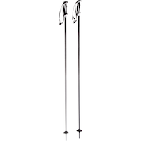 Völkl Phantastick 2 Ski Poles 2019/20 Side_Right
