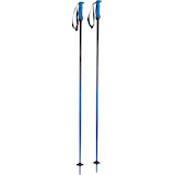 Völkl Phantastick 2 Ski Poles 2019/20