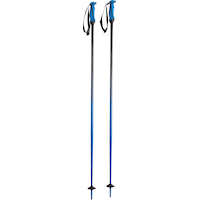 Völkl Phantastick 2 Ski Poles 2019/20