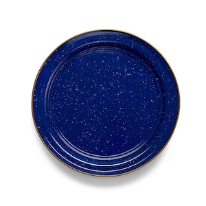 GSI Mesa 10 Inch Plate