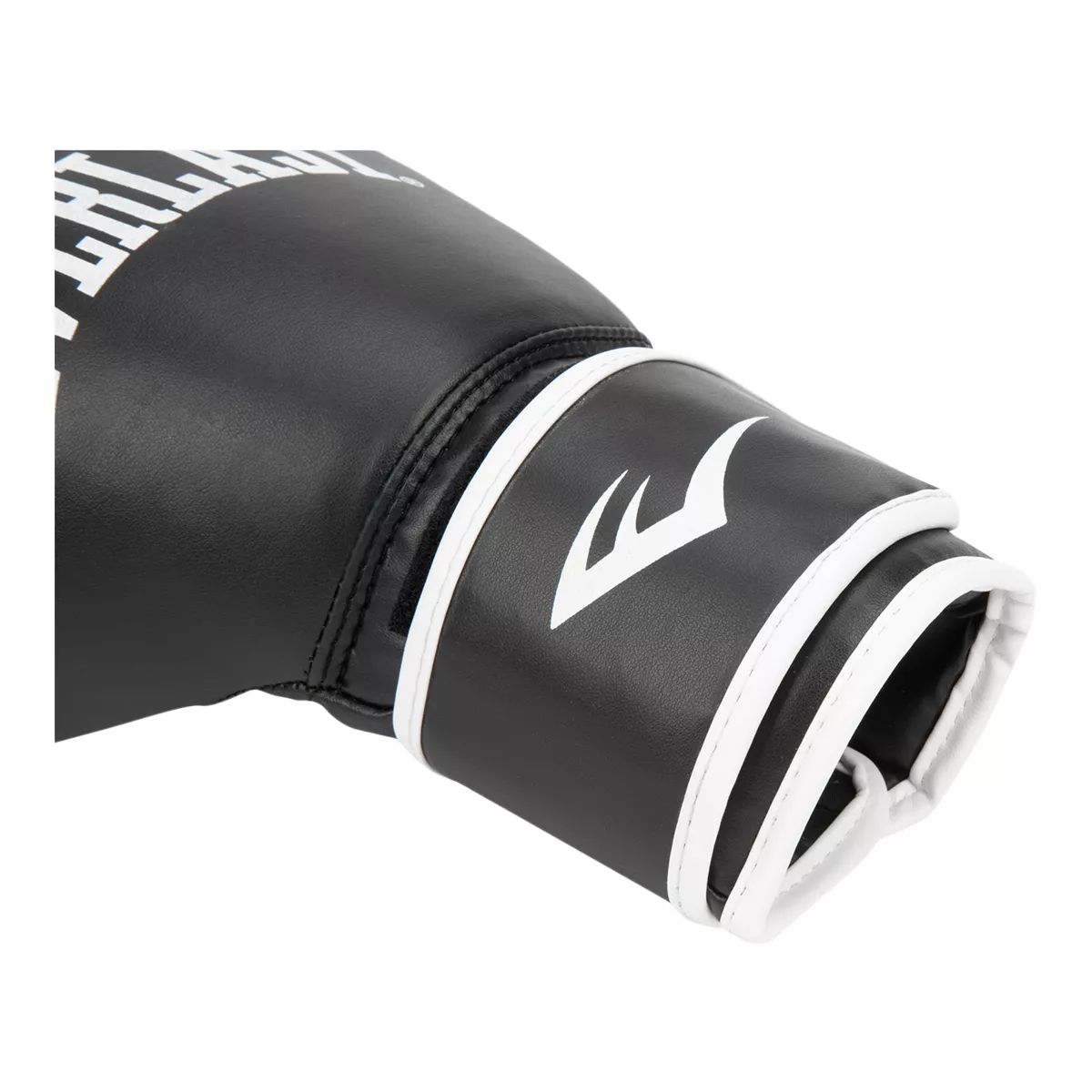 Everlast Core Boxing Glove