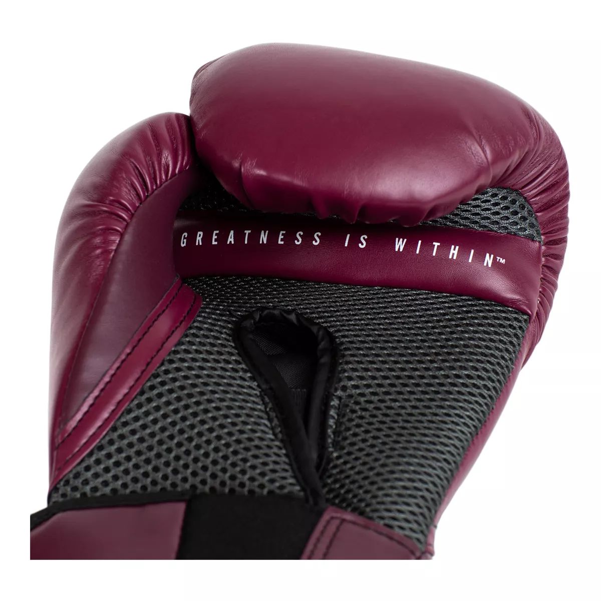 Everlast Pro Style Elite 2.0 Boxing Gloves