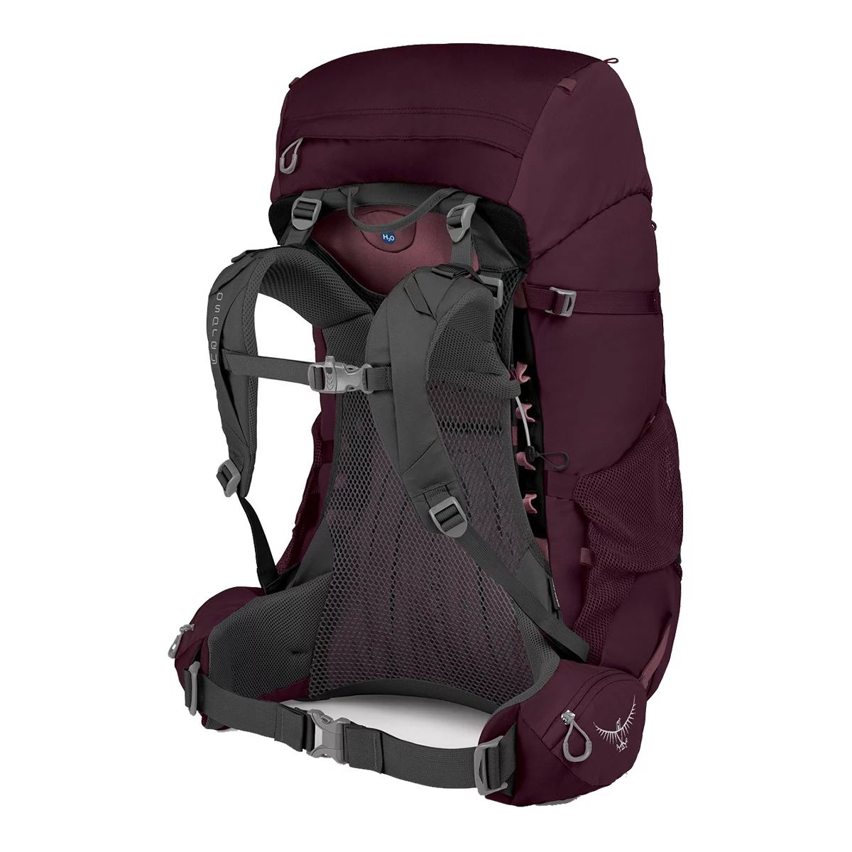 Osprey Renn Women's 65 L Backpack - Aurora Purple Back_Angled_Right