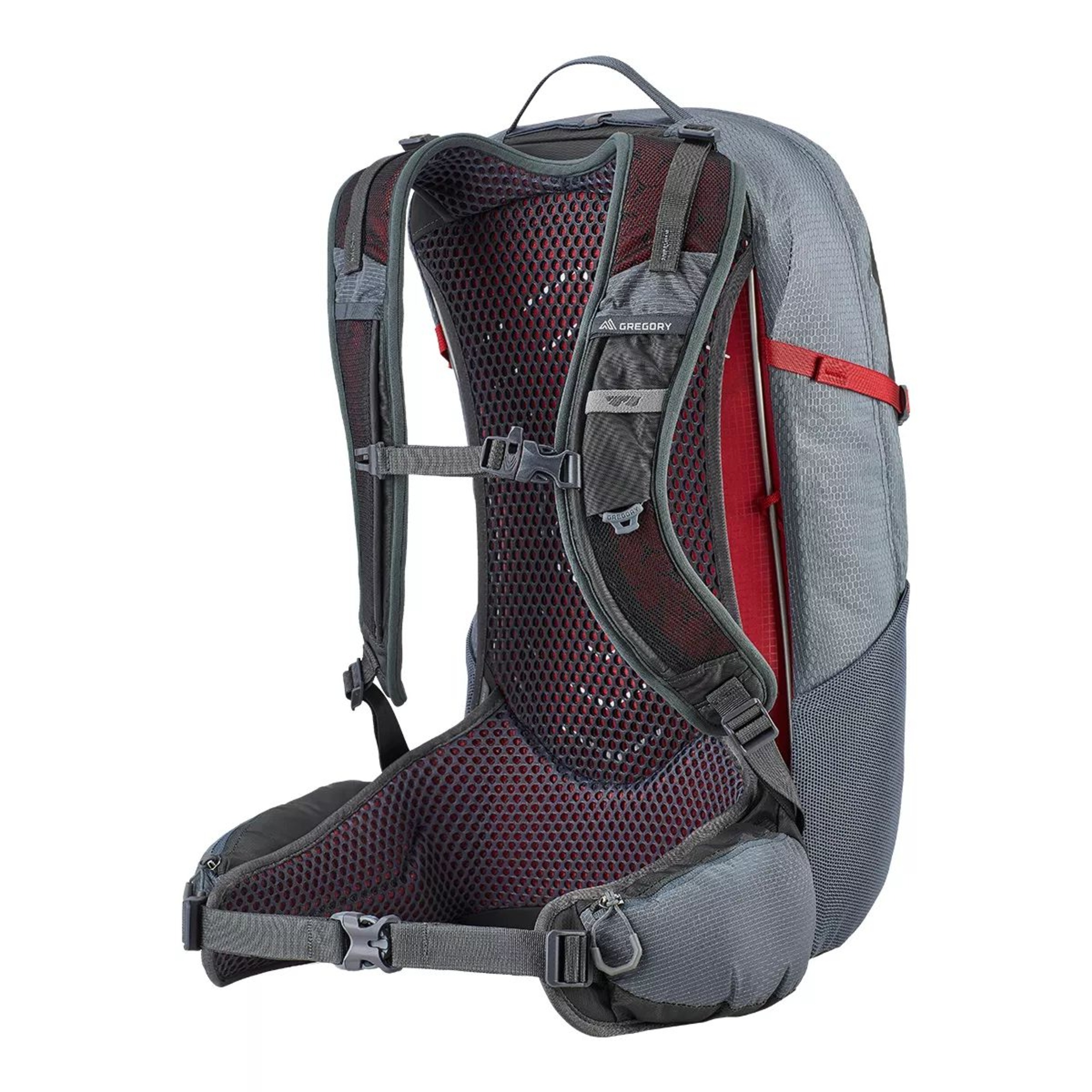 Gregory Citro 24L Backpack Back_Angled_Right