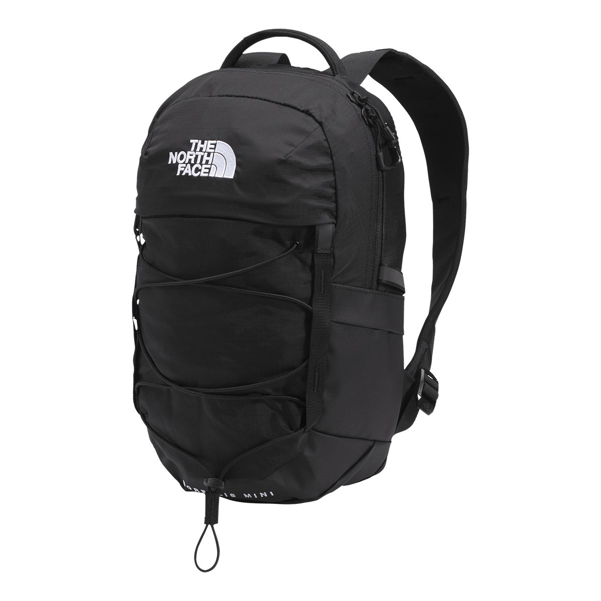 The North Face Borealis Mini 10L Day Pack with Water Bottle Pockets