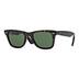 RAY BAN