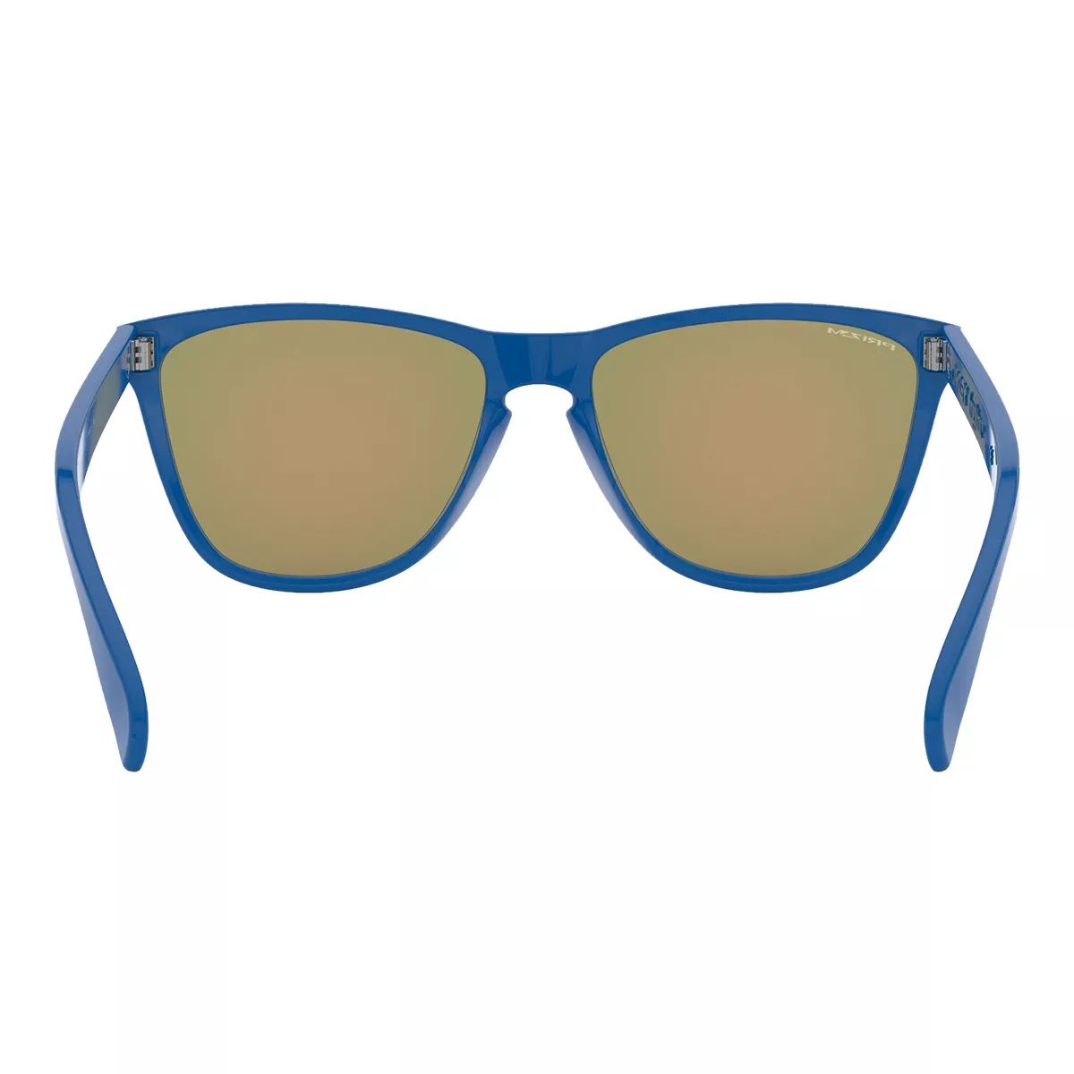 Oakley Men's/Women's Frogskins 35th Anniversary Wayfarer Sunglasses Back_Flat