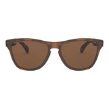 Oakley Youth/Kids Frogskins XS Wayfarer Sunglasses Front_Flat