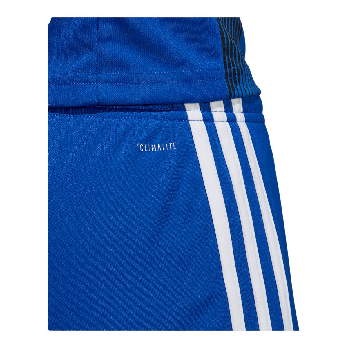 adidas Men's Tastigo 19 Soccer Shorts