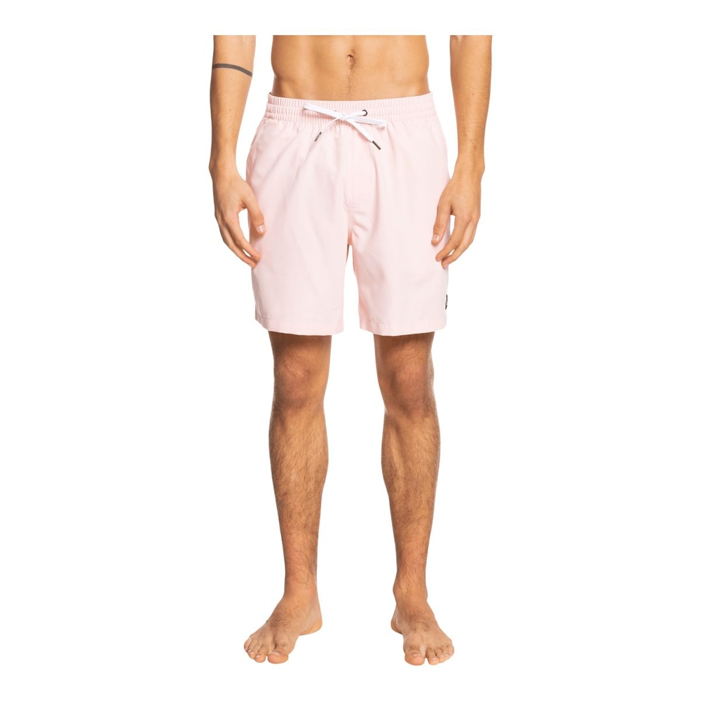 Quiksilver Men's Everyday 17 Inch Volley Shorts
