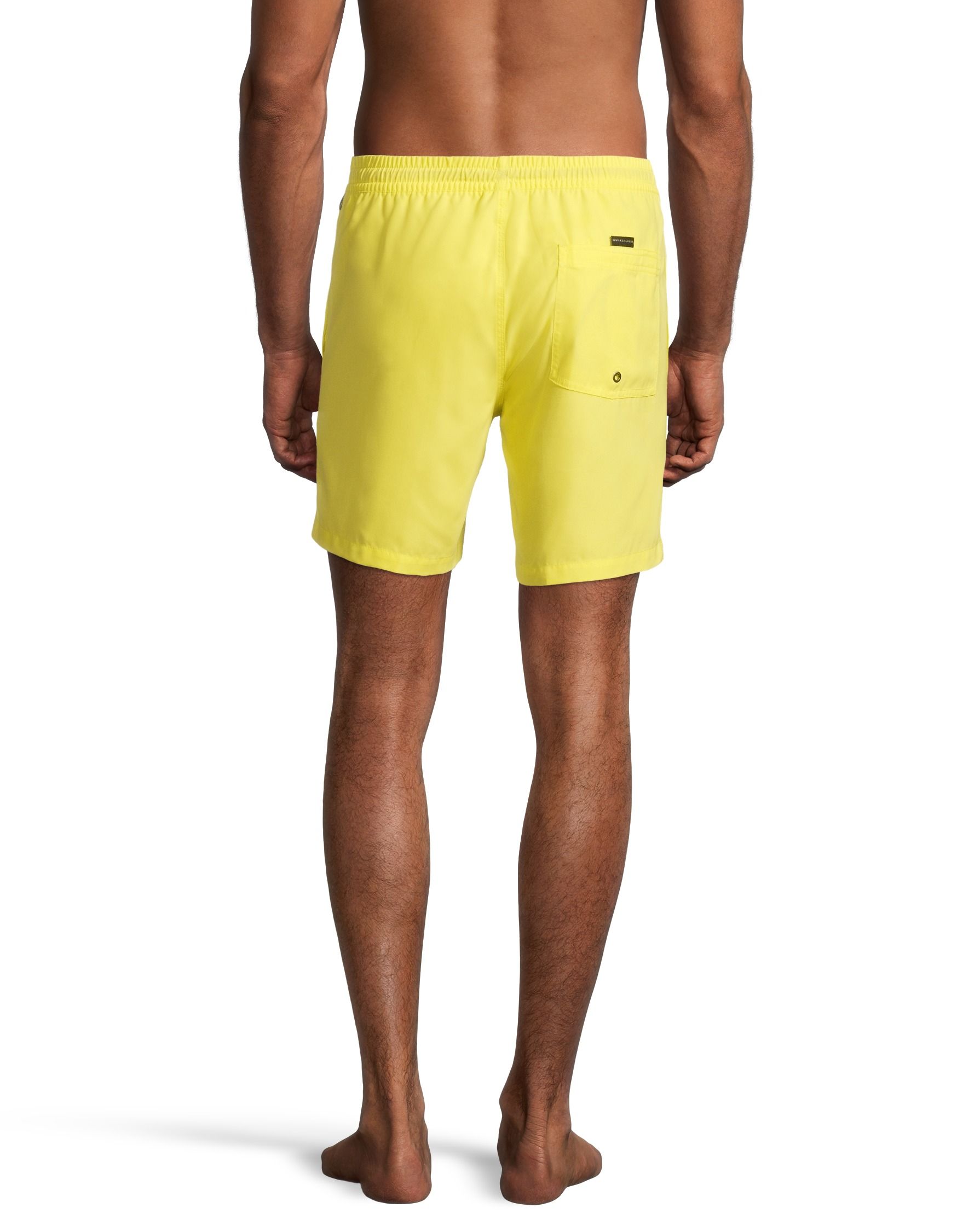 Quiksilver Men's Everyday Swim Volley Shorts, 17", With Mesh Brief