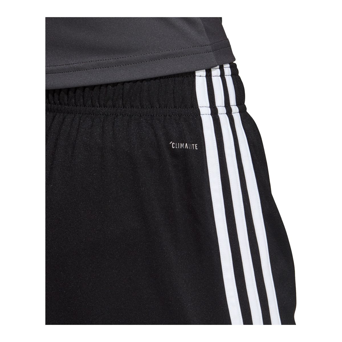 adidas Women's Tastigo Shorts