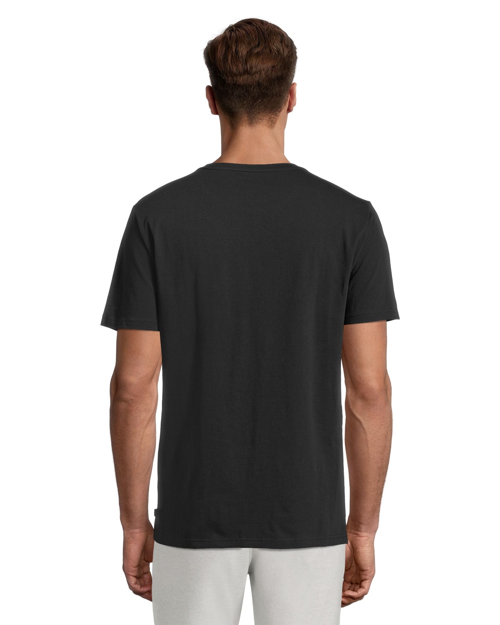 Ripzone Men's Ross T-Shirt