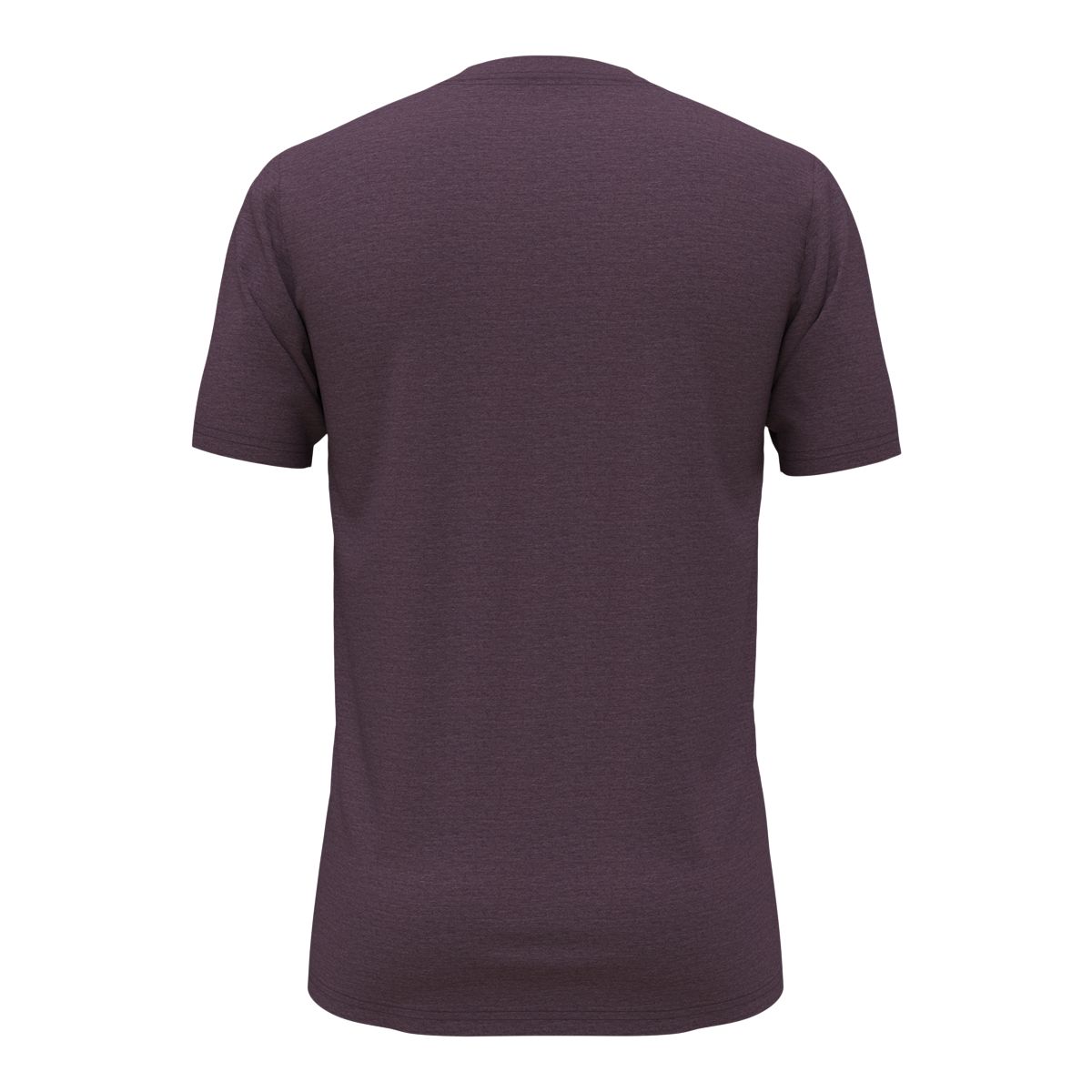 The North Face Men's Tri Blend Half Dome T Shirt