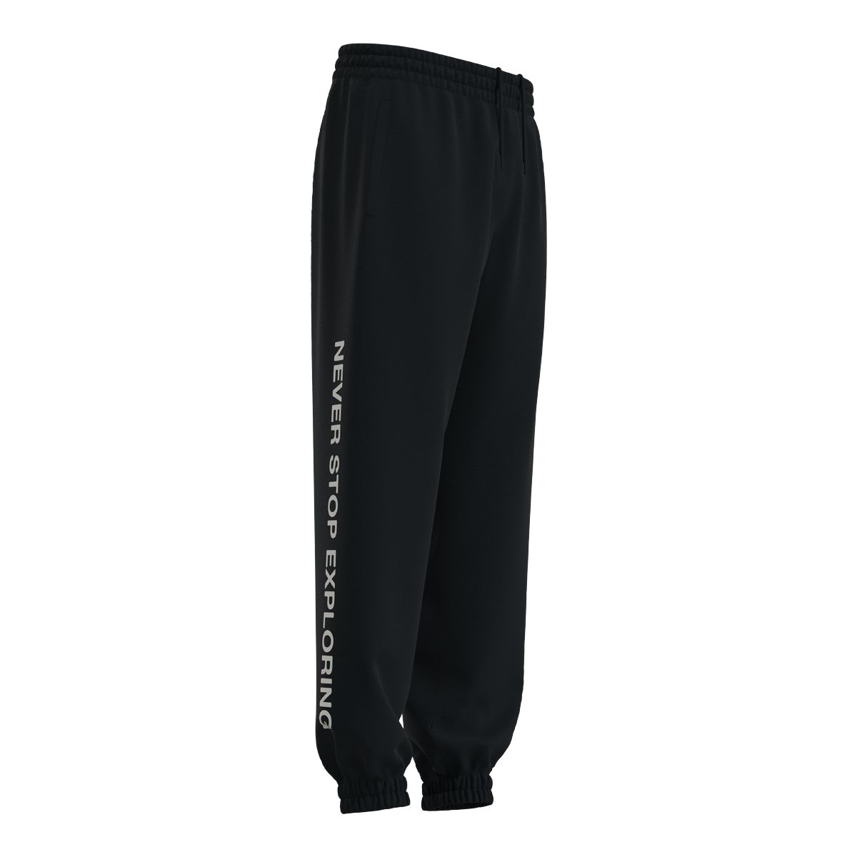 The North Face Men's Box NSE Jogger Pants