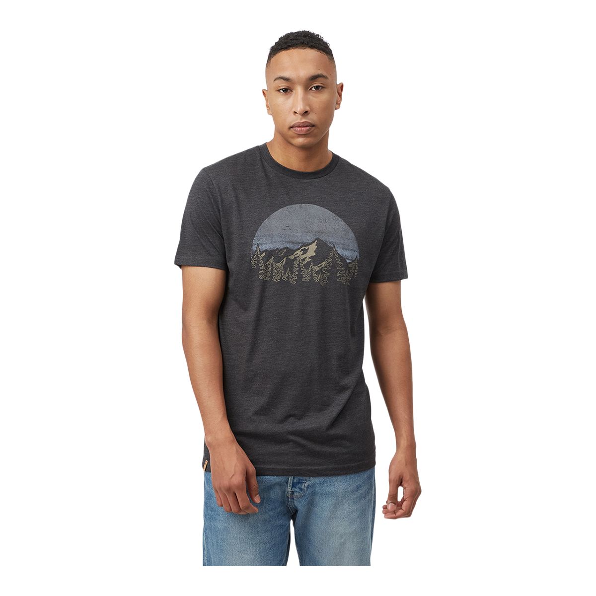 Tentree Men's Vintage Sunset T Shirt