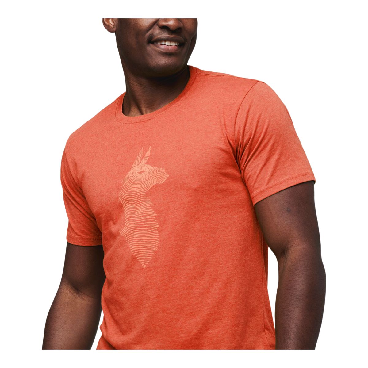 Cotopaxi Men's Topo Llama Organic T-Shirt