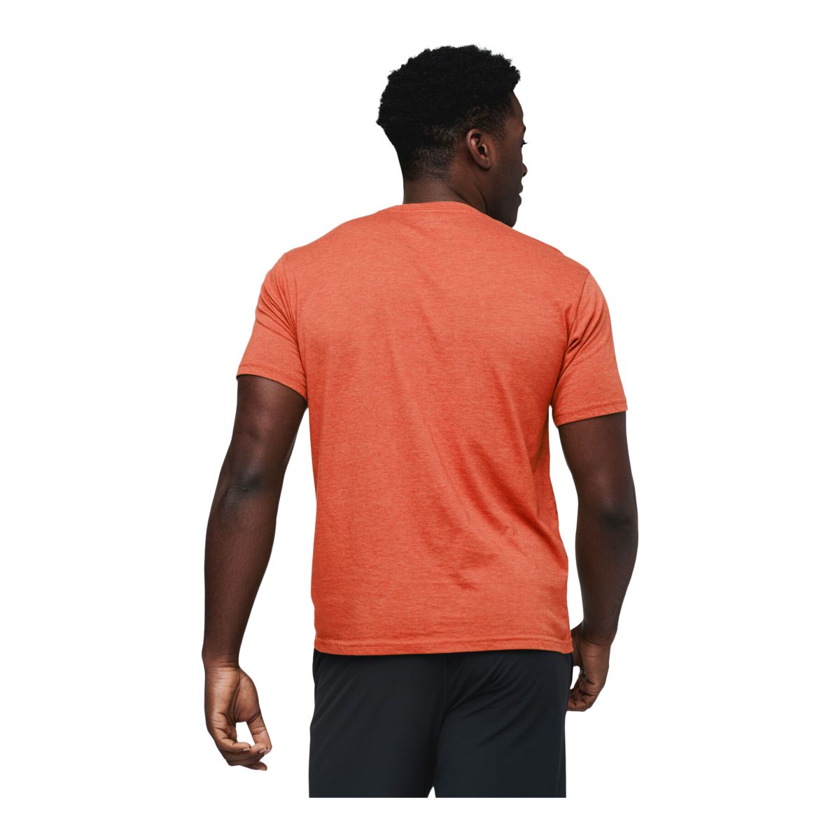 Cotopaxi Men's Topo Llama Organic T-Shirt