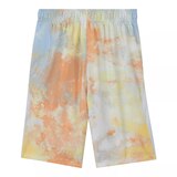 Nike Boys' Dri-FIT All Over Print Shorts Back_Flat