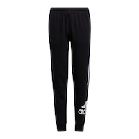 adidas Kids' Boys' Core Badge 21 Joggers Pants, Casual, Athletic Front_Flat