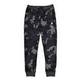 Hurley Boys' H20-Dri Solar Sweatpants, Kids', Jogger, Fleece, Cuffed, Tapered, Athletic Front_Flat