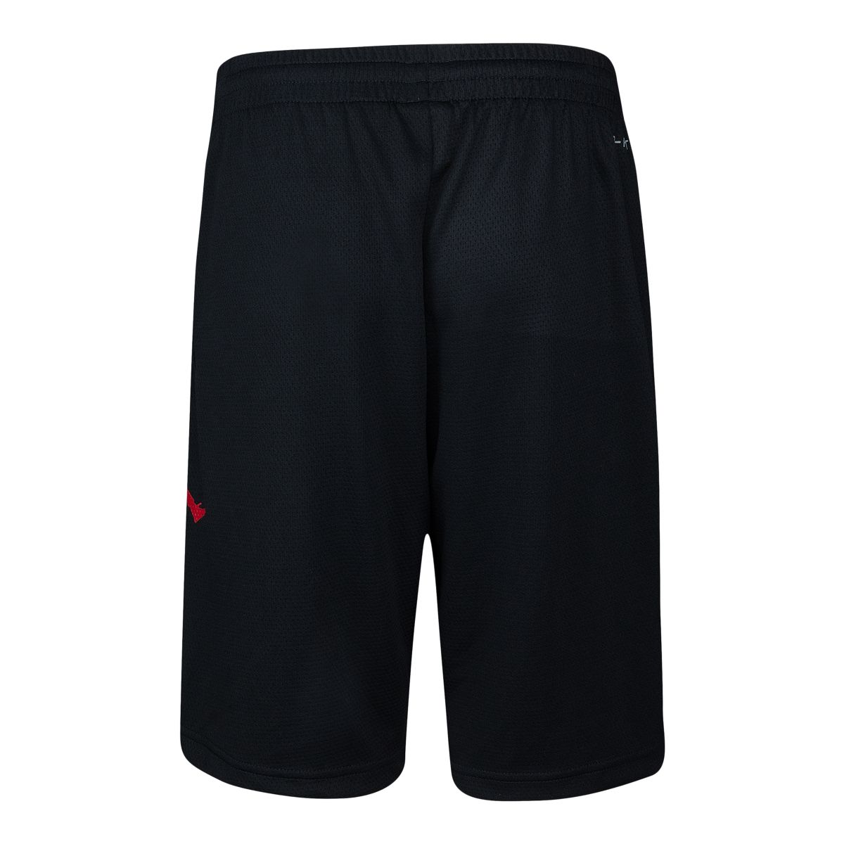 Jordan Toddler Boys' 4-7 Vertical Mesh Shorts