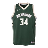 Milwaukee Bucks Nike Kids' Giannis Antetokounmpo Swingman - Icon Edition Basketball Jersey, NBA Front_Flat