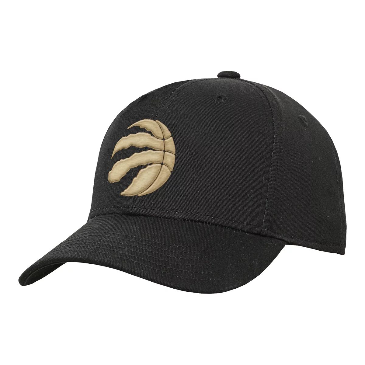 Toronto Raptors Youth Alt Basic Precurve Snapback Cap