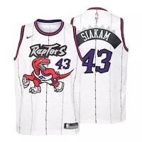 Toronto Raptors Nike Kids' Pascal Siakam Hardwood Classics Basketball Jersey, NBA Composite_or_Mixed