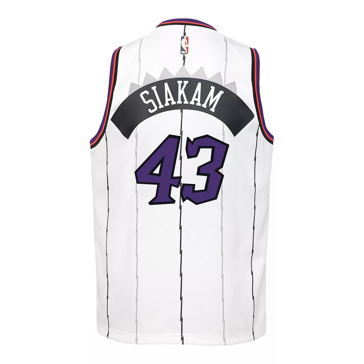 Toronto Raptors Nike Kids' Pascal Siakam Hardwood Classics Basketball Jersey, NBA