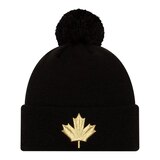 Toronto Raptors New Era City Edition Alternate Knit Hat, NBA, Basketball Front_Flat