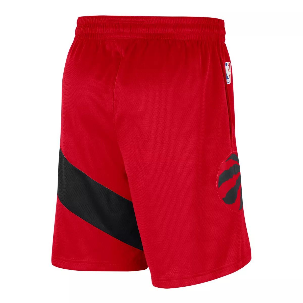 Toronto Raptors Nike Men's Swingman Shorts