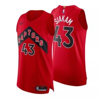 Toronto Raptors Nike Men's Pascal Siakam Swingman - Icon Edition Basketball Authentic Jersey, NBA Composite_or_Mixed