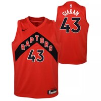 Toronto Raptors Kids' Pascal Siakam Swingman - Icon Edition Basketball Jersey, NBA Composite_or_Mixed
