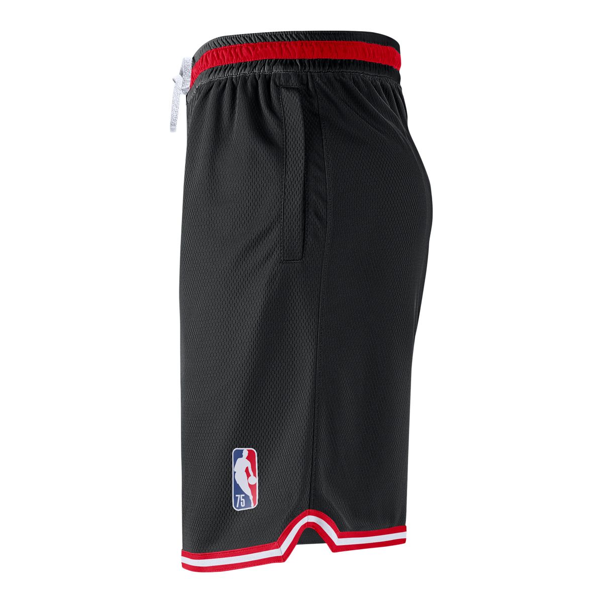 Toronto Raptors Nike Men's DNA Shorts