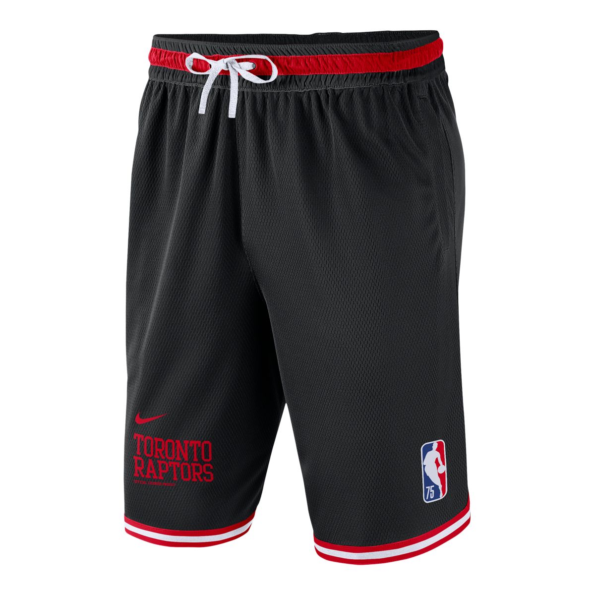 Toronto Raptors DNA Men's Nike NBA Shorts