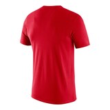 Toronto Raptors Nike Men's Essential Jordan Statement T Shirt Back_Angled_Right