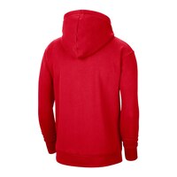 Toronto Raptors Nike Men's Essential Hoodie Back_Angled_Right