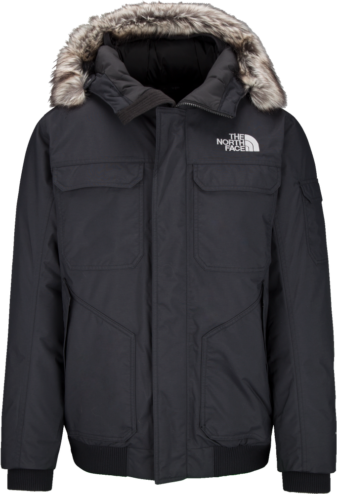 The North Face Men's Gothan III Winter Jacket, Short, Insulated