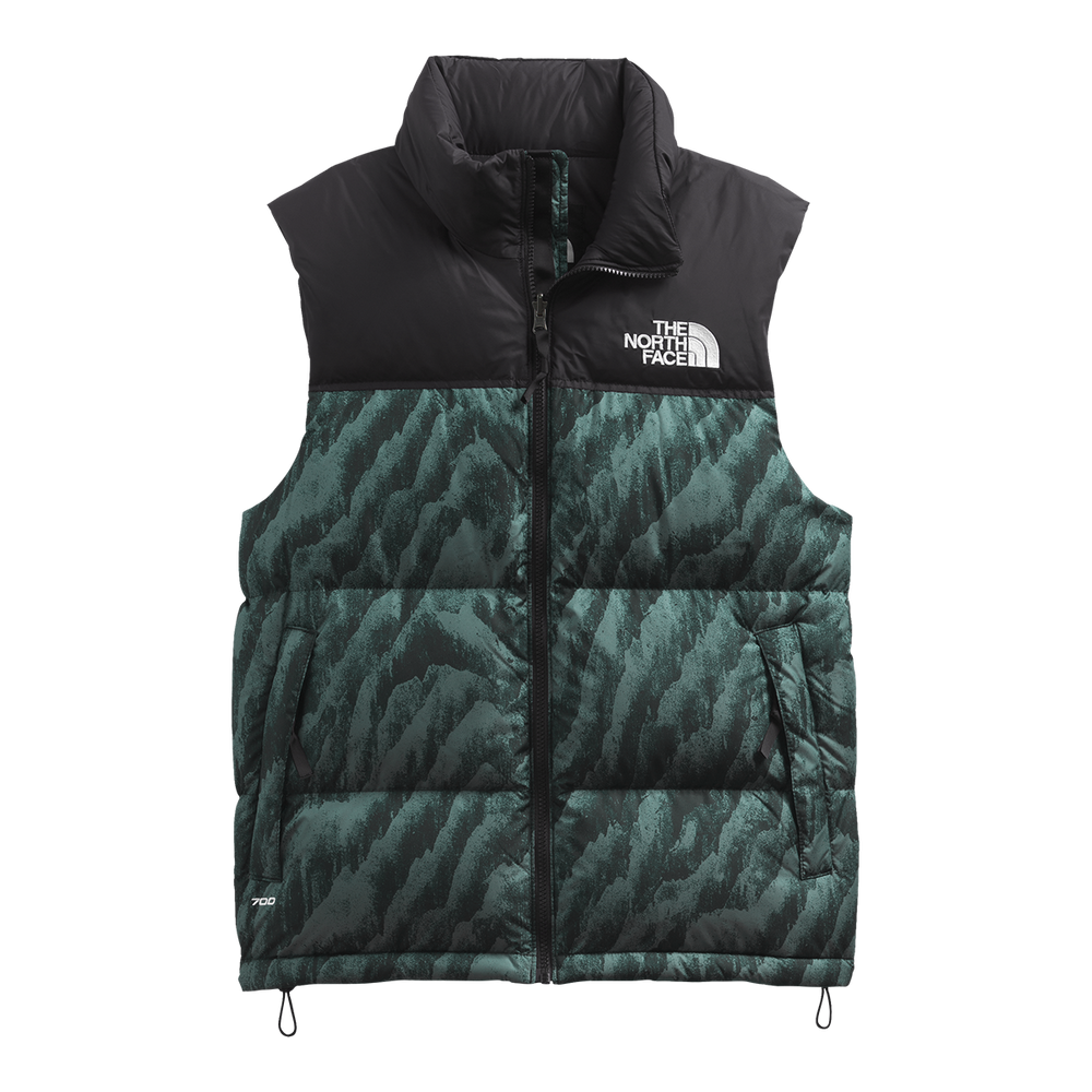 U3-18 THE NORTH FACE PrinTed Down vest 純正最安価格 capanimations.tv